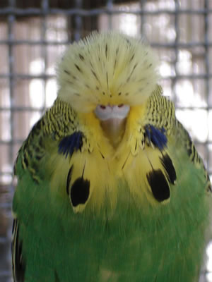 20070813173127-front-pic.jpg